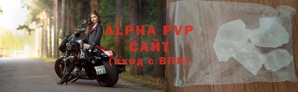 спиды Корсаков