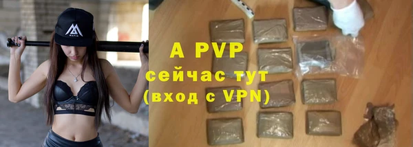 спиды Корсаков