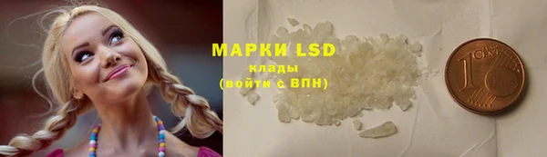 спиды Корсаков
