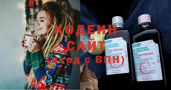 соль ск Козельск