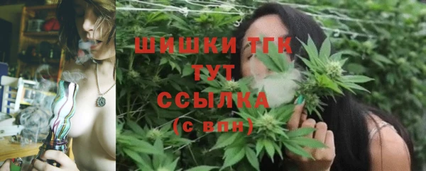 стафф Братск