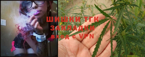 гидропоника Коряжма
