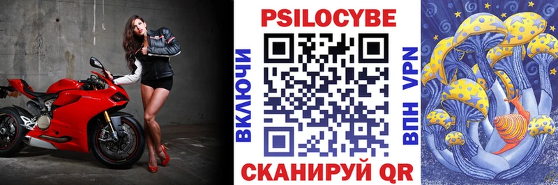 Купить  Саки  Псилоцибиновые грибы мицелий 